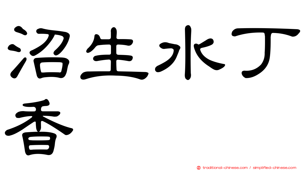 沼生水丁香