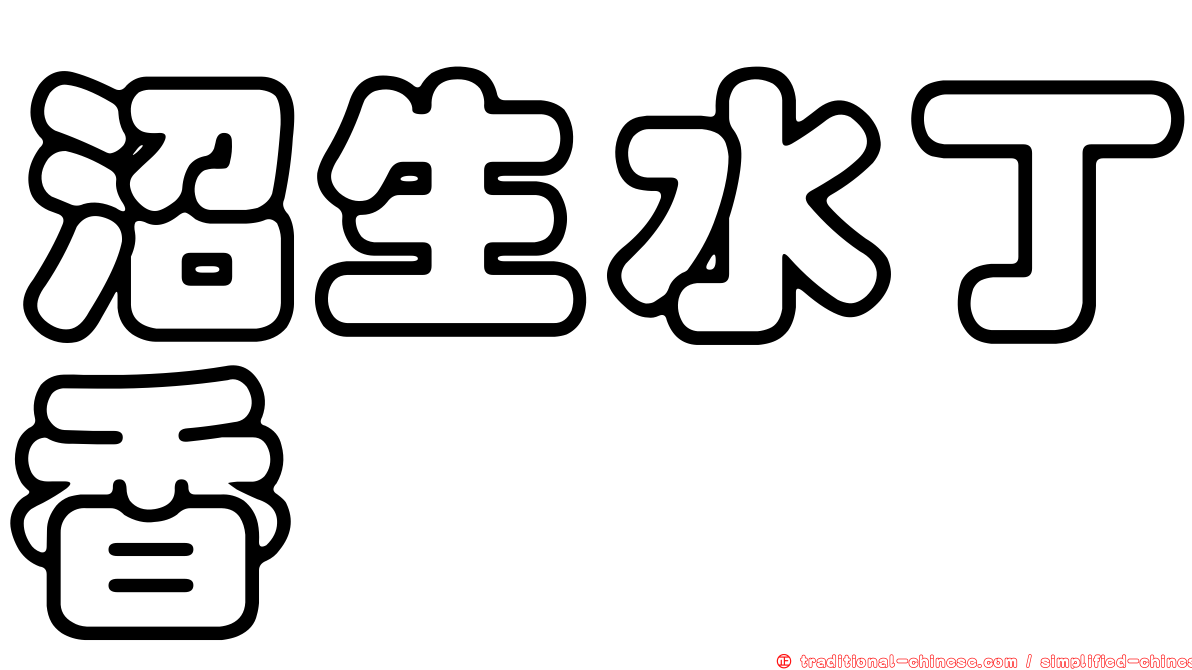 沼生水丁香