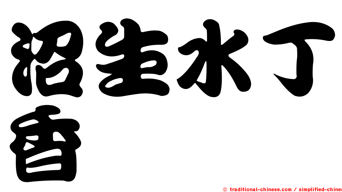 沼生水丁香