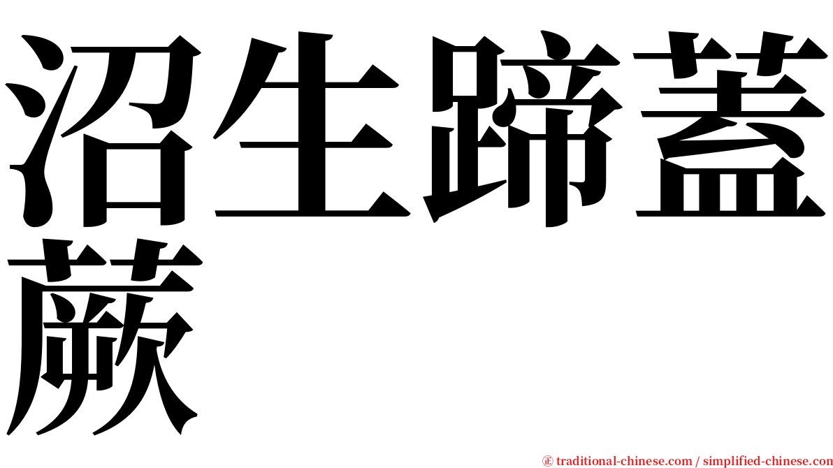 沼生蹄蓋蕨 serif font