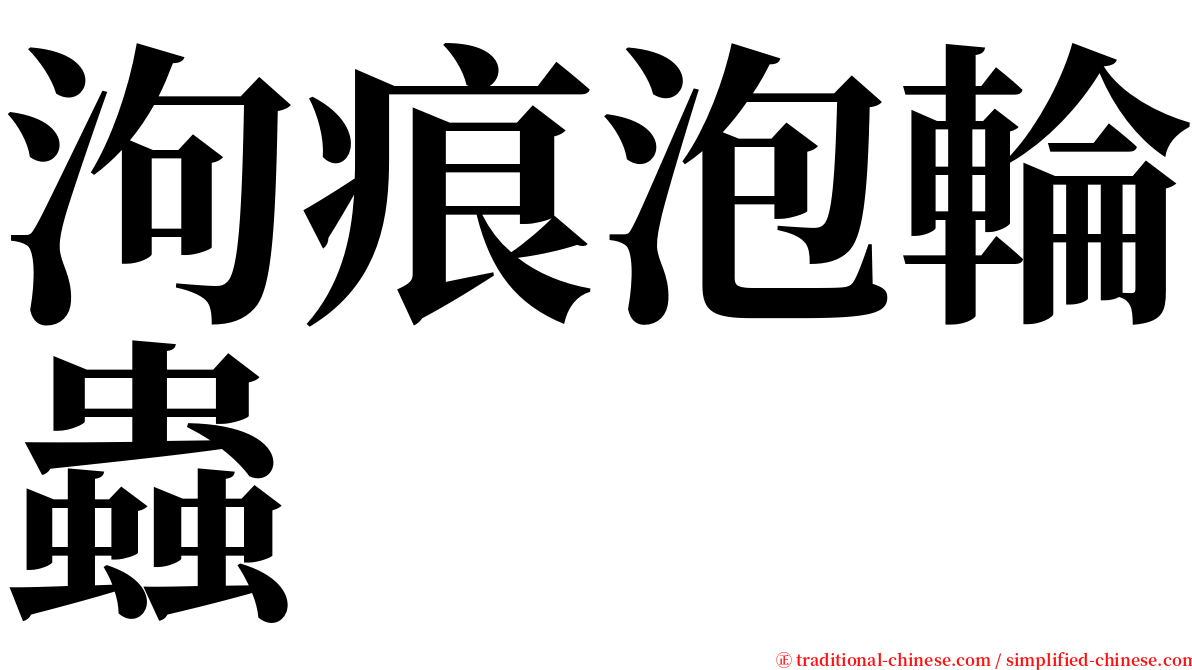 泃痕泡輪蟲 serif font