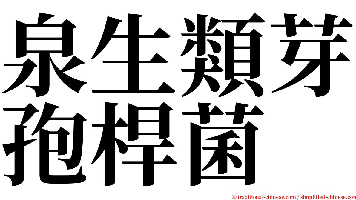 泉生類芽孢桿菌 serif font