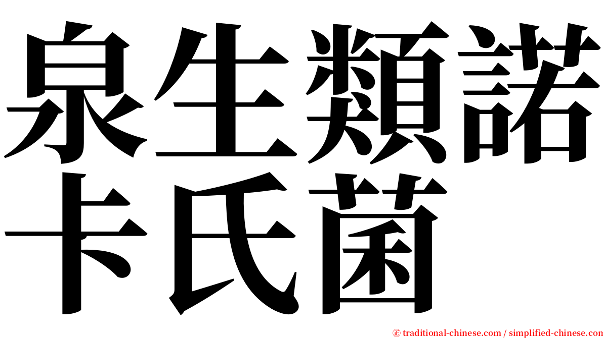 泉生類諾卡氏菌 serif font