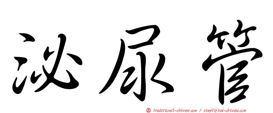 泌尿管