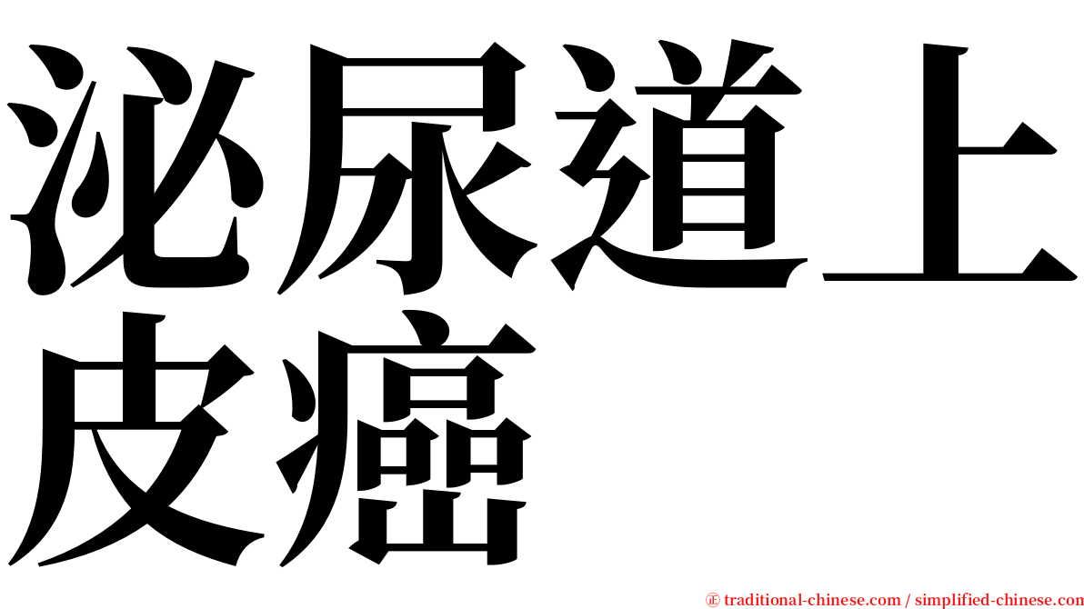 泌尿道上皮癌 serif font