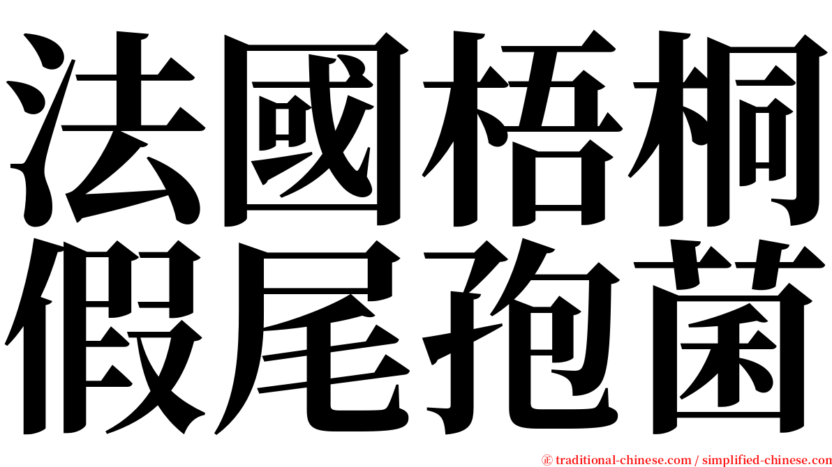 法國梧桐假尾孢菌 serif font