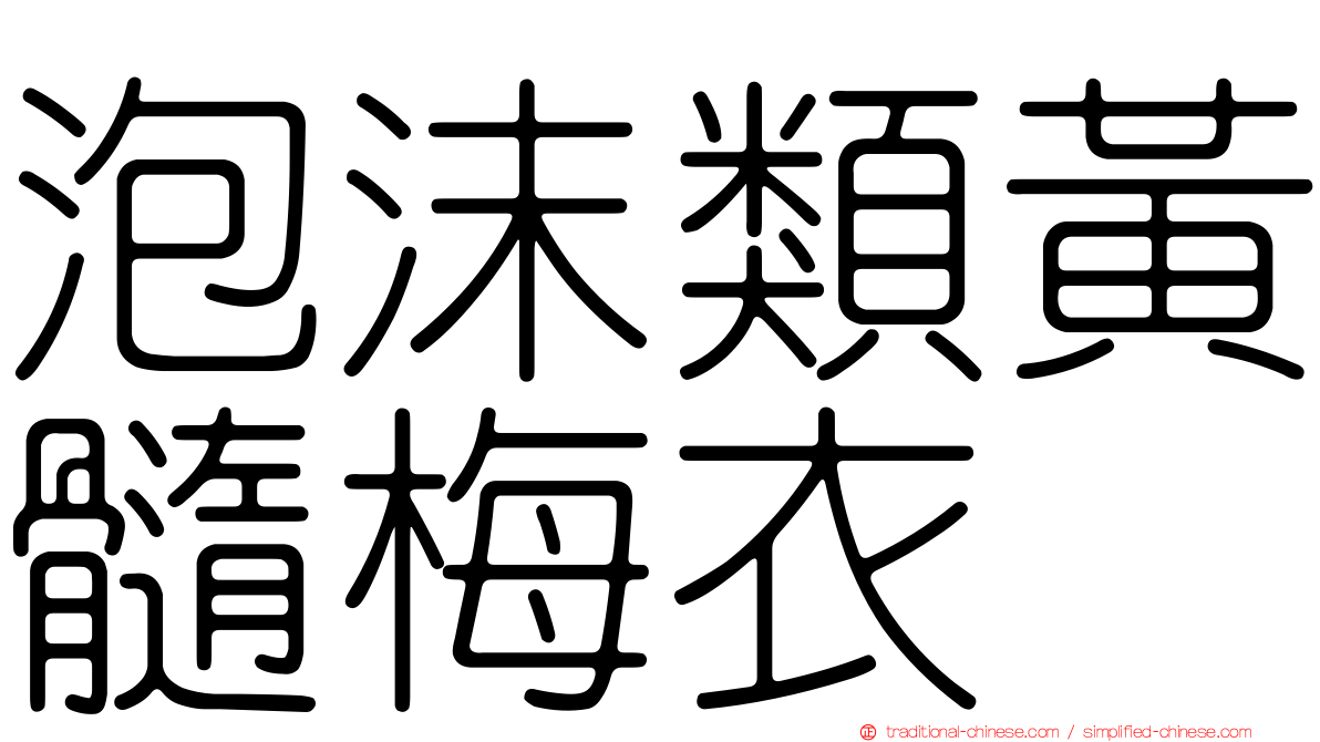 泡沫類黃髓梅衣