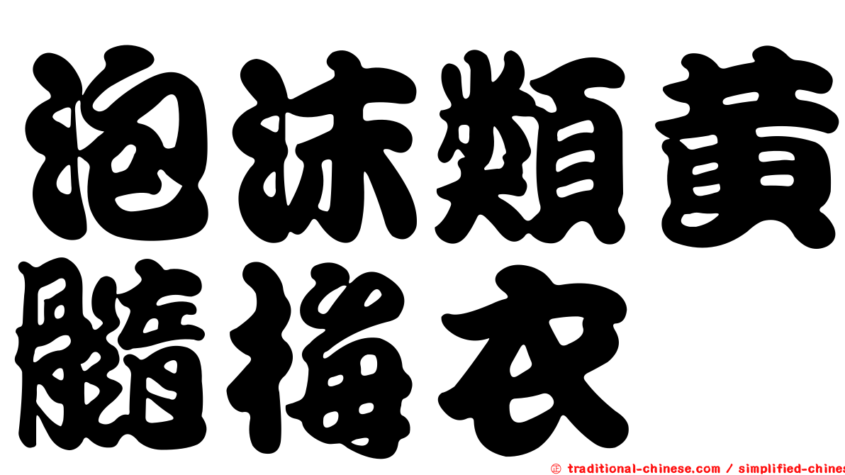 泡沫類黃髓梅衣