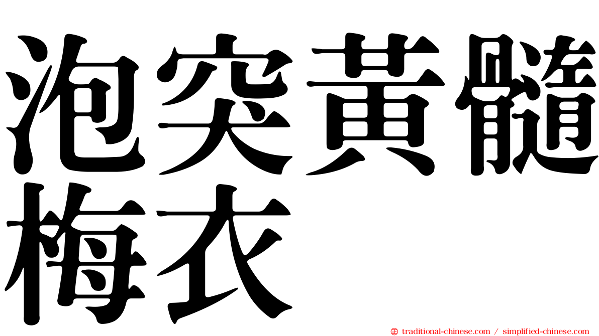 泡突黃髓梅衣