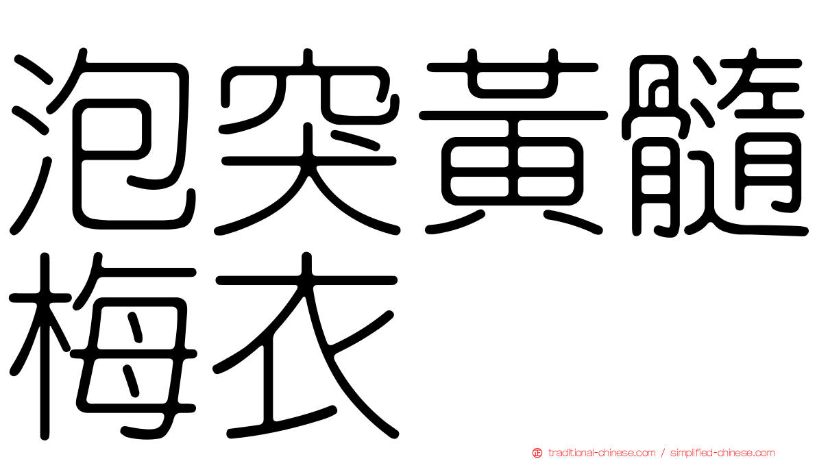 泡突黃髓梅衣