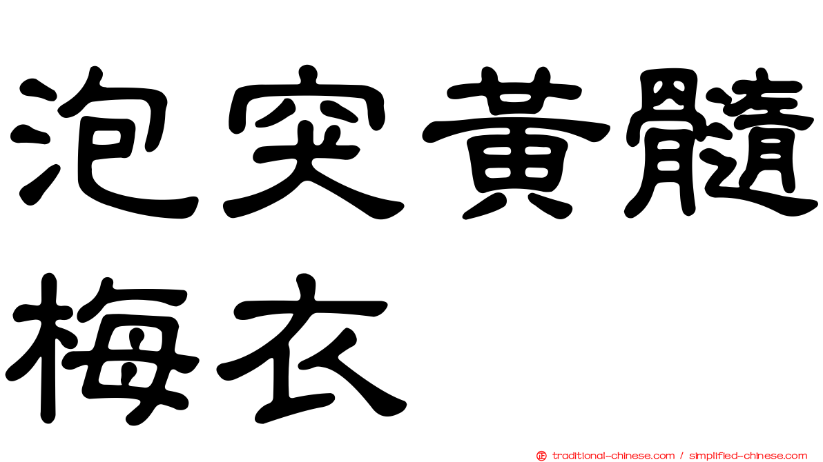 泡突黃髓梅衣