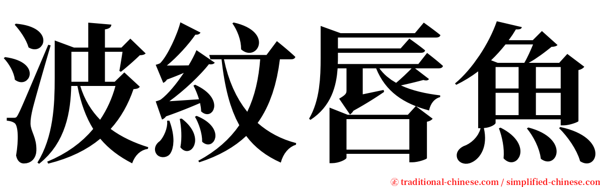 波紋唇魚 serif font