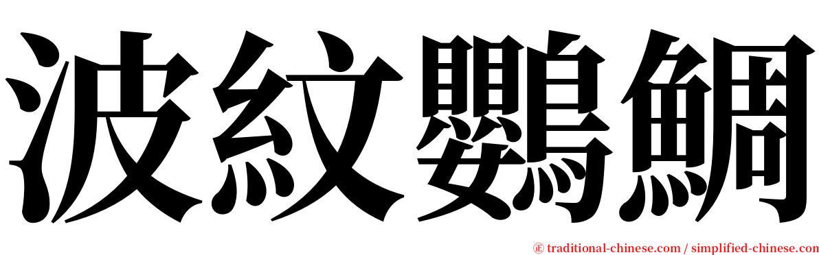 波紋鸚鯛 serif font