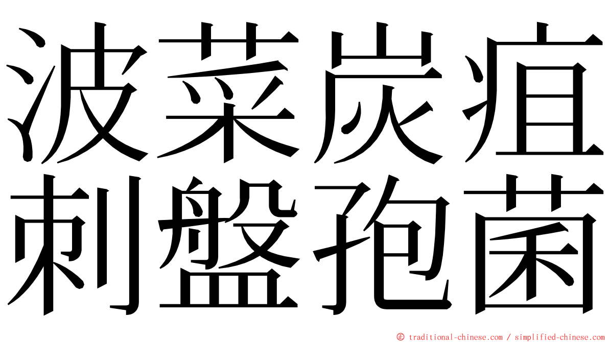 波菜炭疽刺盤孢菌 ming font