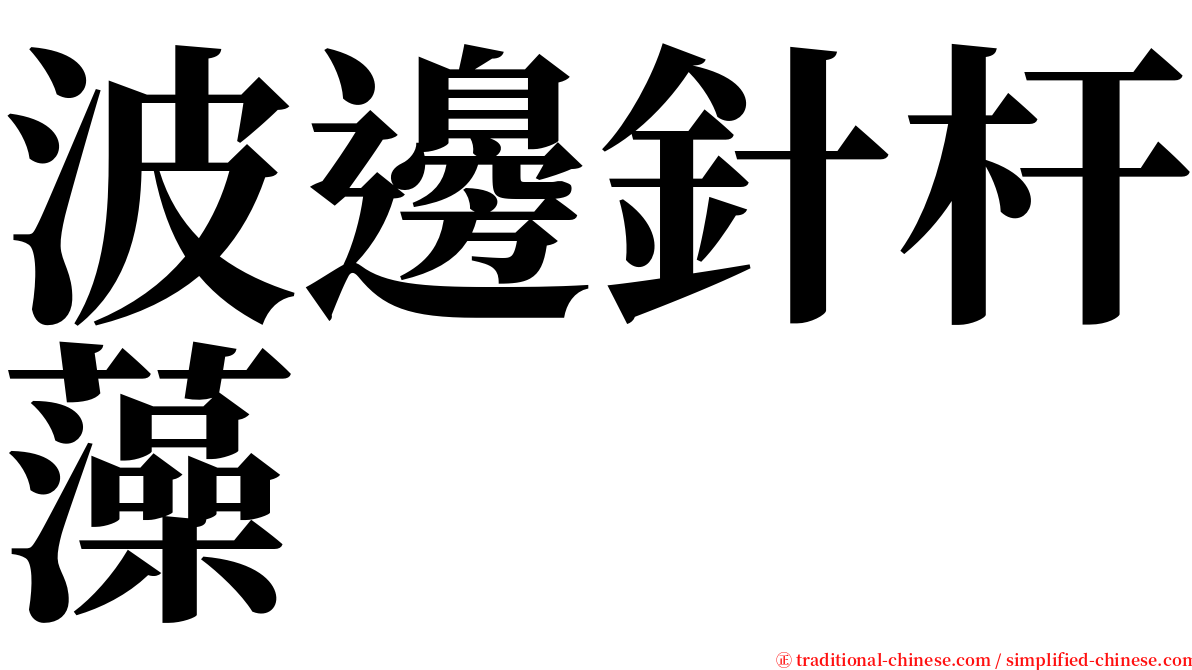 波邊針杆藻 serif font