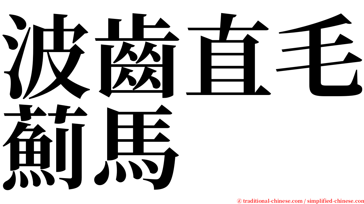 波齒直毛薊馬 serif font