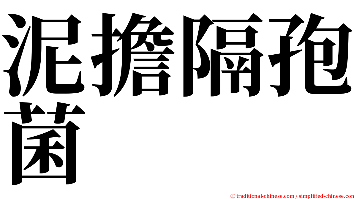 泥擔隔孢菌 serif font