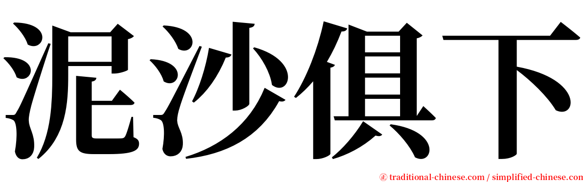 泥沙俱下 serif font