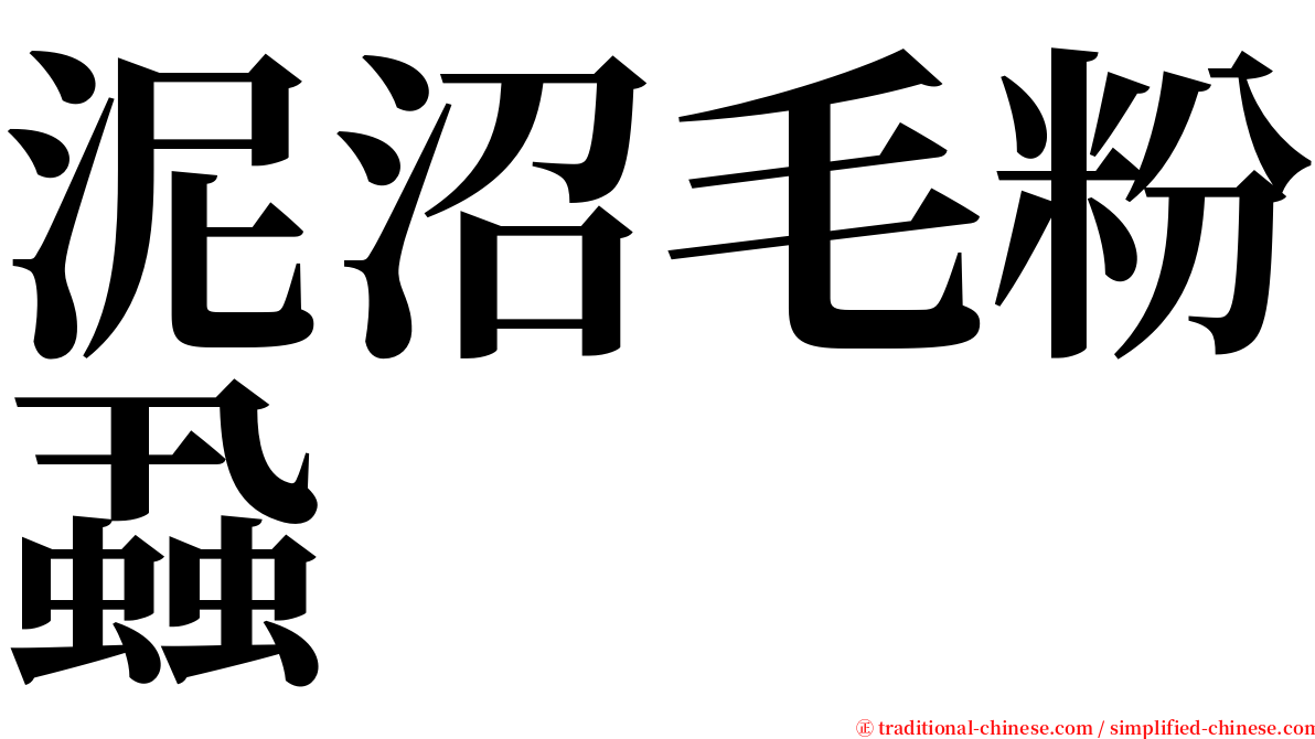 泥沼毛粉蝨 serif font