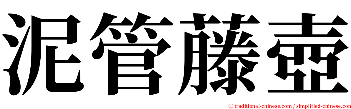 泥管藤壺 serif font