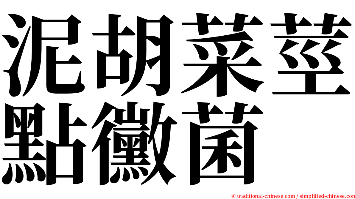 泥胡菜莖點黴菌 serif font