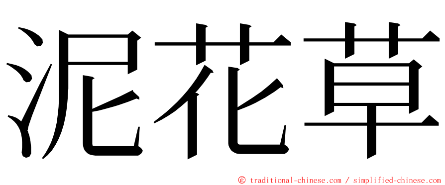 泥花草 ming font