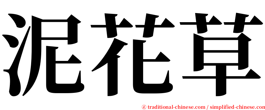 泥花草 serif font