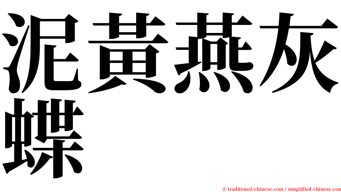 泥黃燕灰蝶 serif font