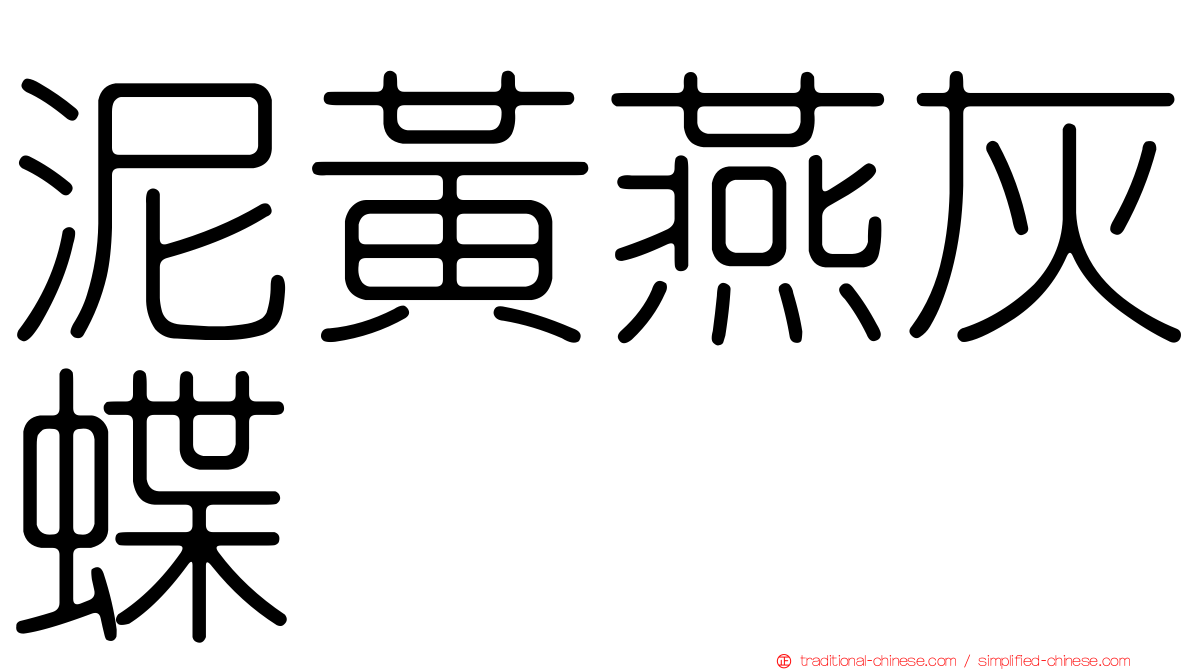 泥黃燕灰蝶