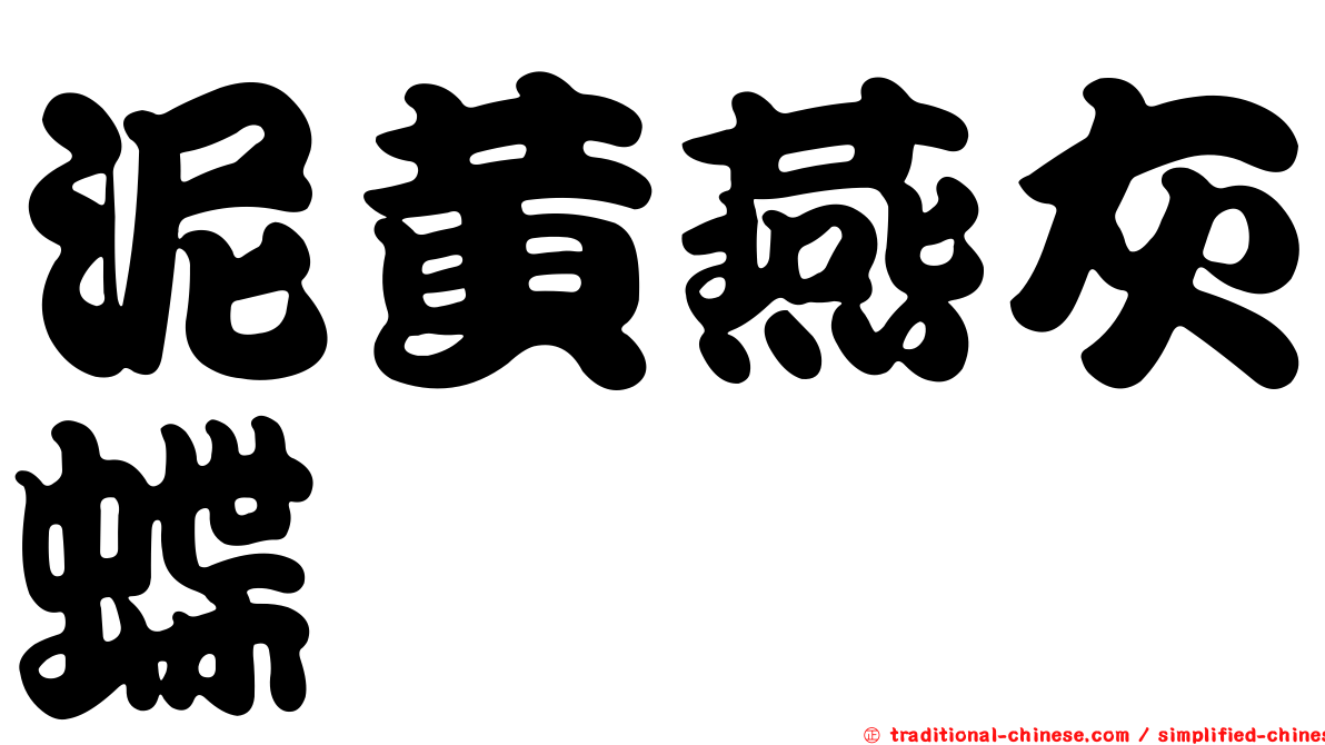 泥黃燕灰蝶