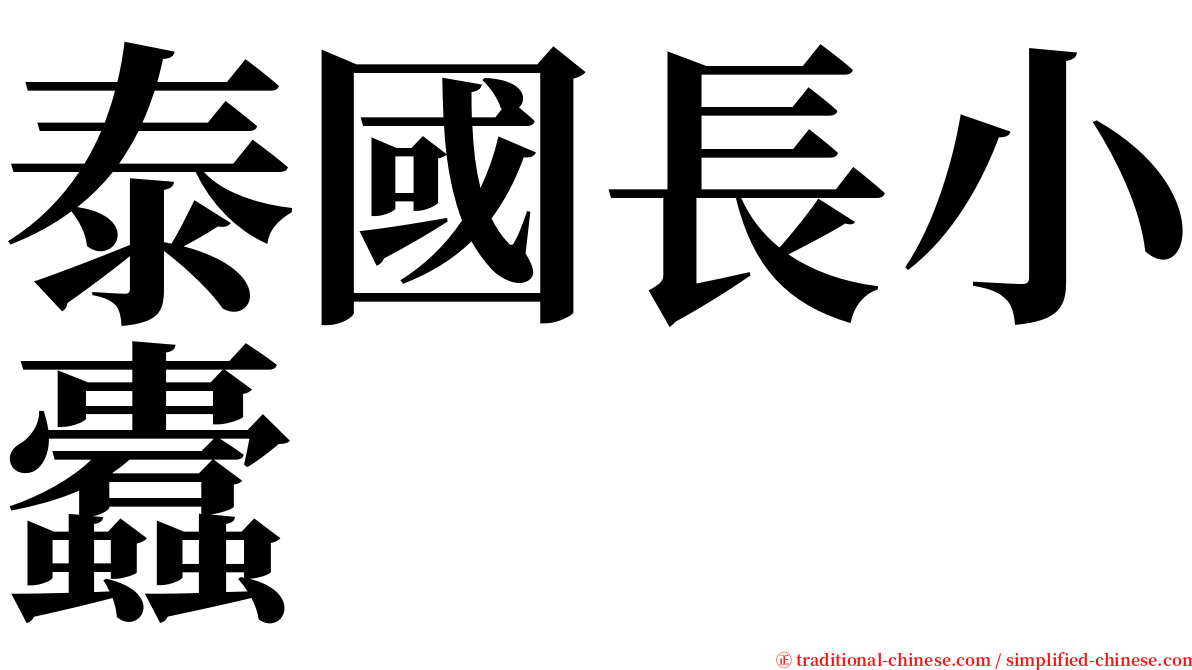 泰國長小蠹 serif font