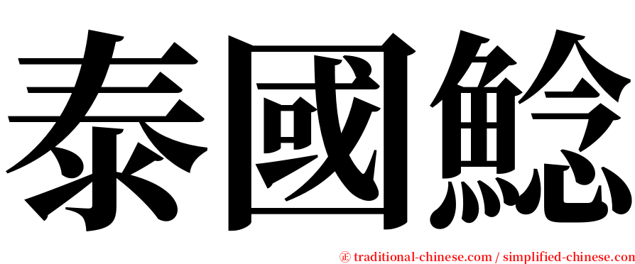 泰國鯰 serif font