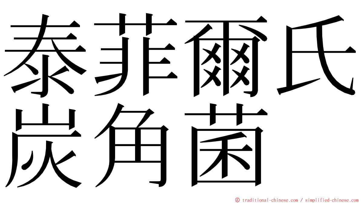 泰菲爾氏炭角菌 ming font