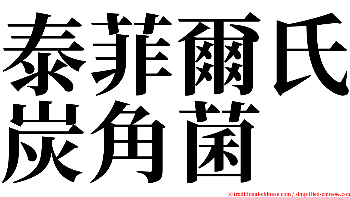 泰菲爾氏炭角菌 serif font