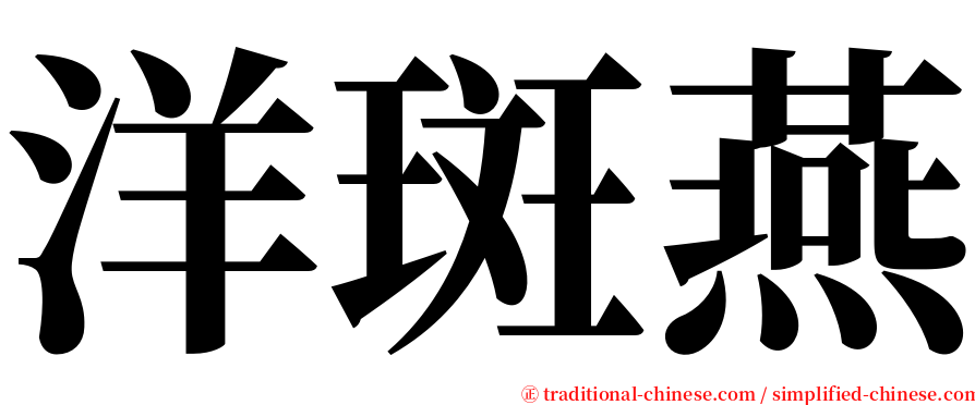 洋斑燕 serif font