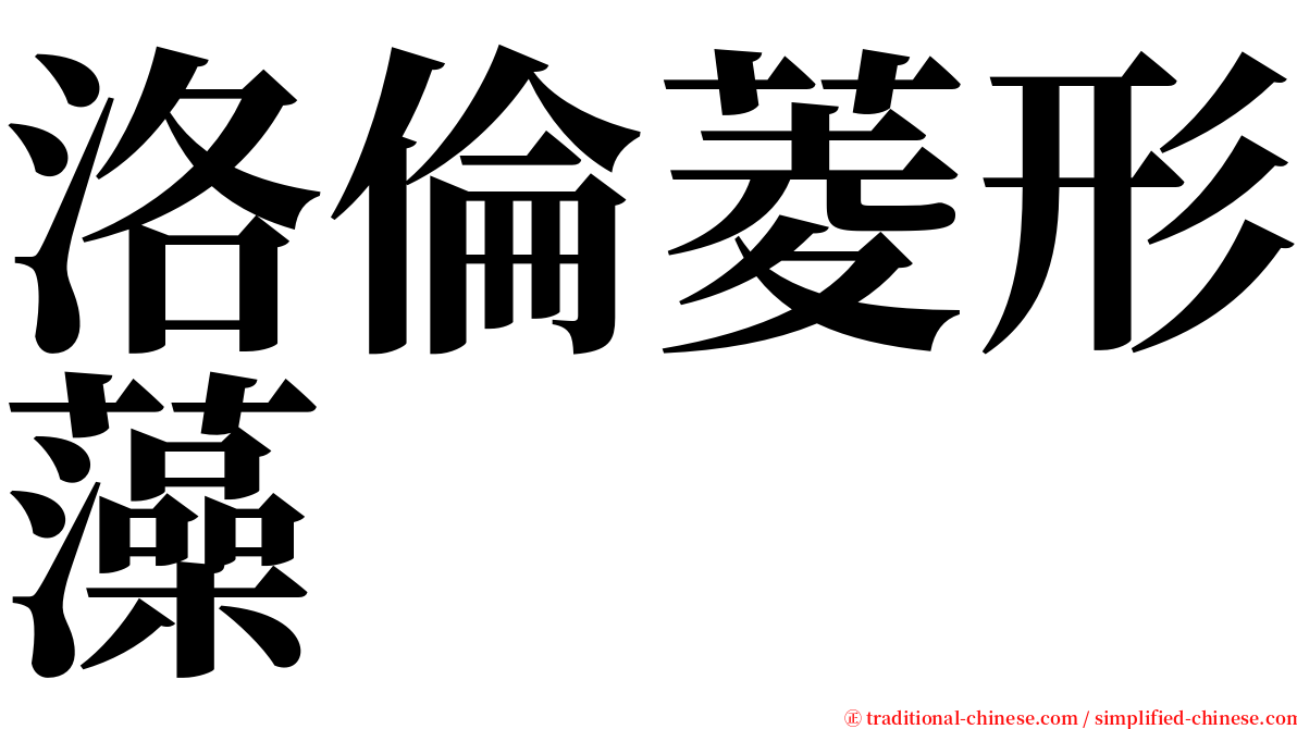 洛倫菱形藻 serif font