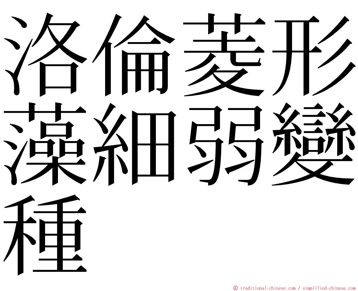 洛倫菱形藻細弱變種 ming font