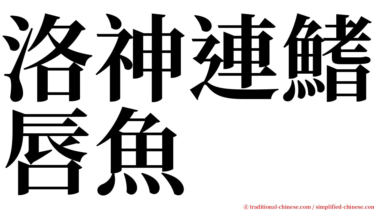 洛神連鰭唇魚 serif font