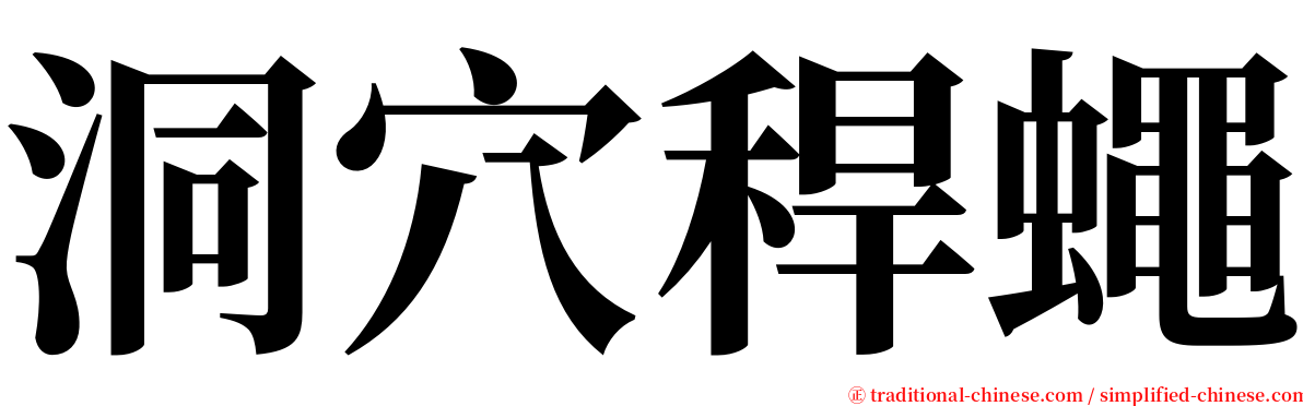 洞穴稈蠅 serif font