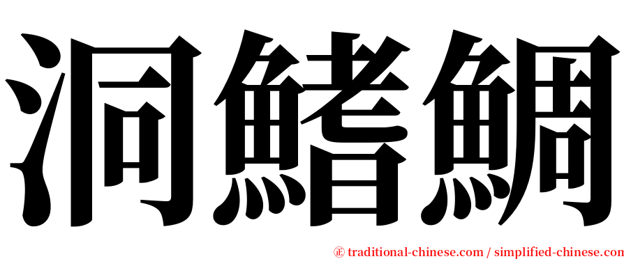 洞鰭鯛 serif font