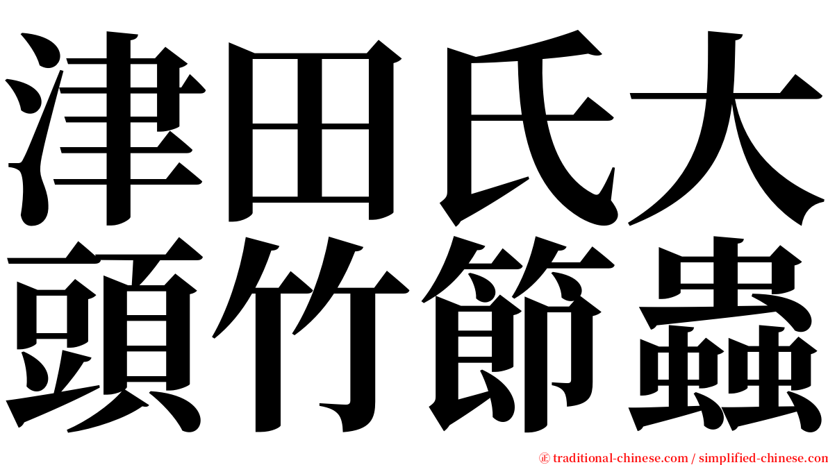 津田氏大頭竹節蟲 serif font