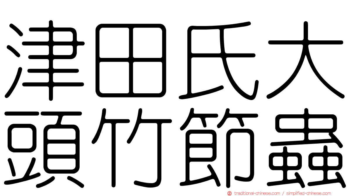 津田氏大頭竹節蟲