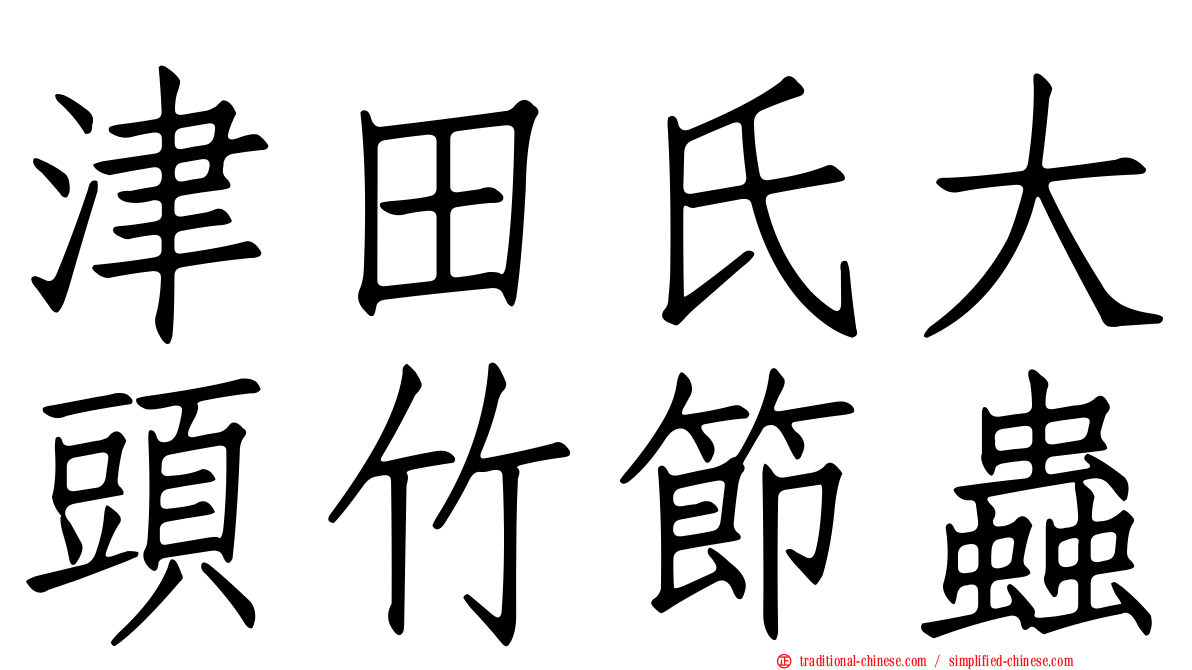 津田氏大頭竹節蟲