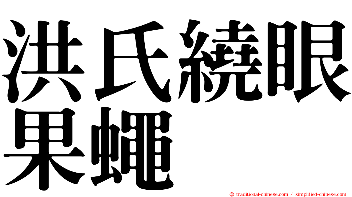 洪氏繞眼果蠅