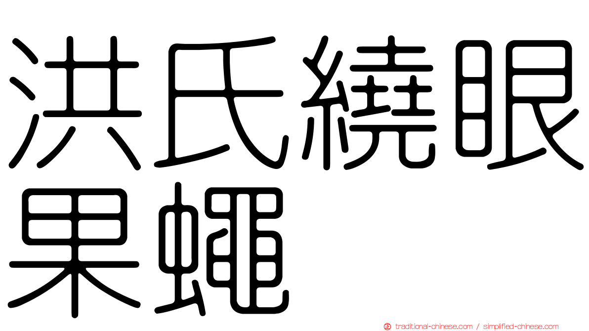 洪氏繞眼果蠅