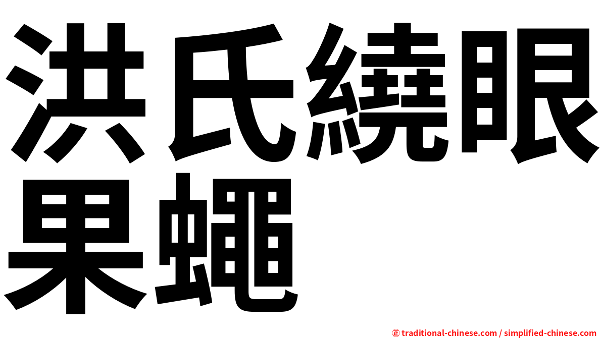 洪氏繞眼果蠅