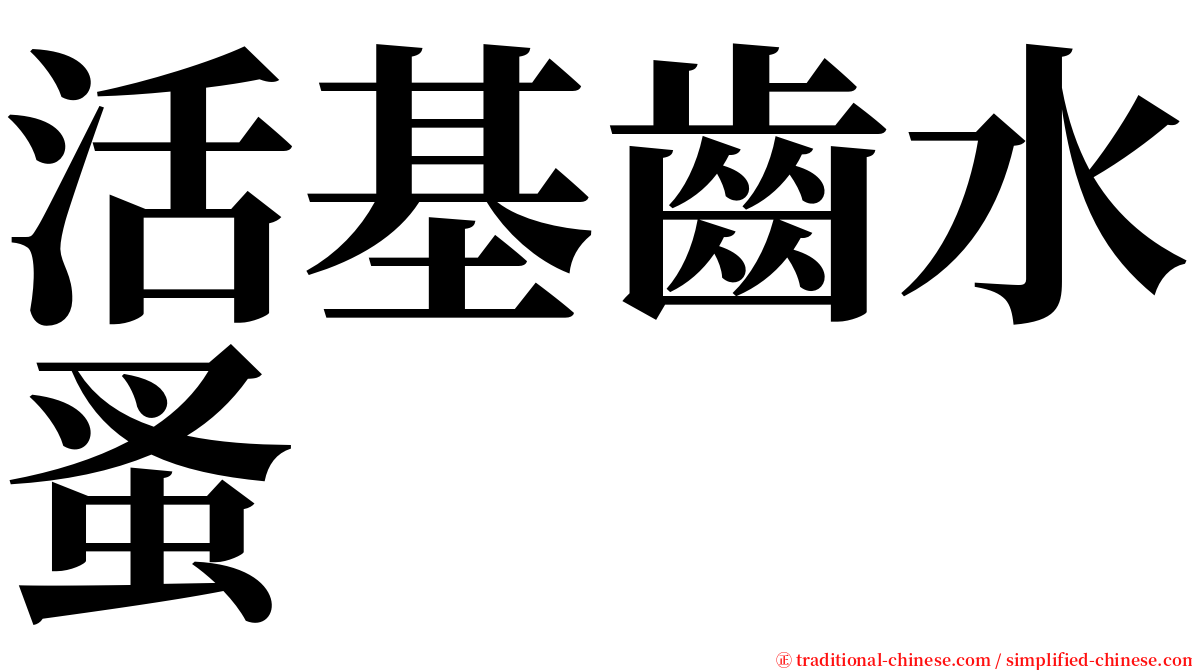 活基齒水蚤 serif font