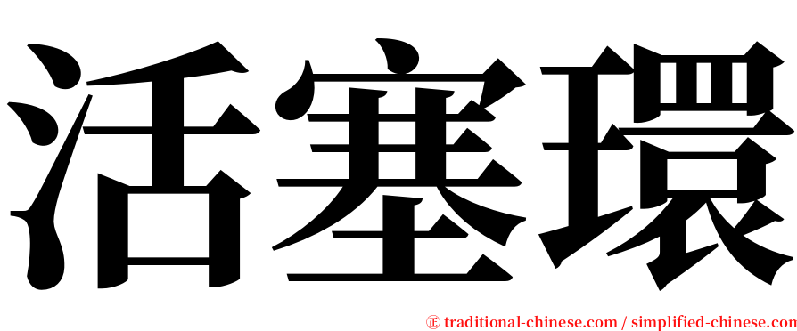 活塞環 serif font