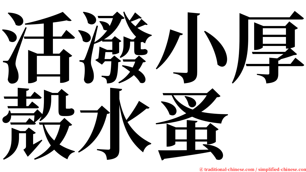 活潑小厚殼水蚤 serif font