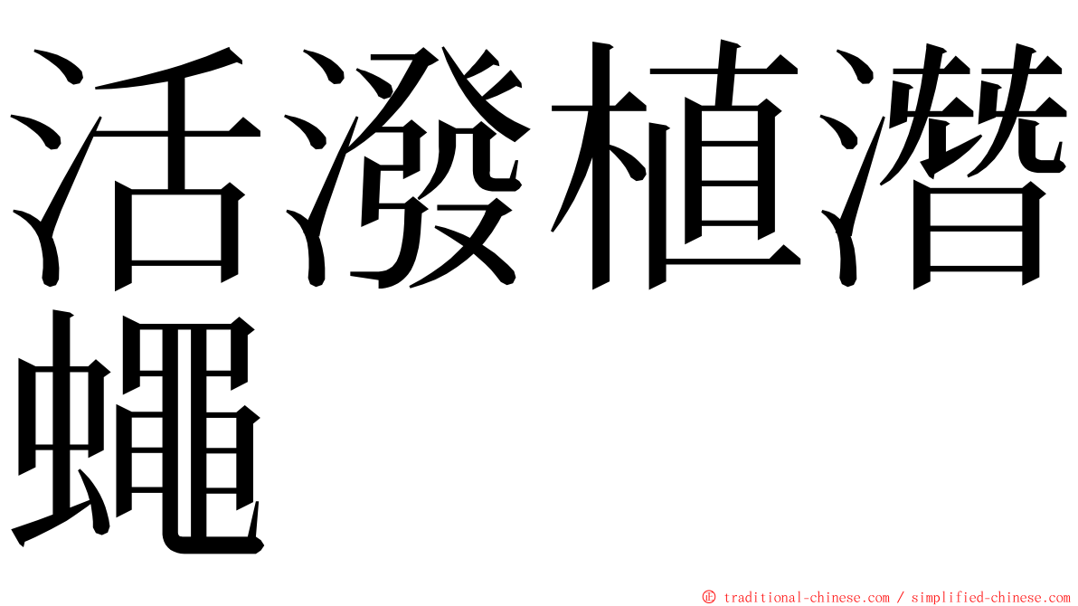 活潑植潛蠅 ming font